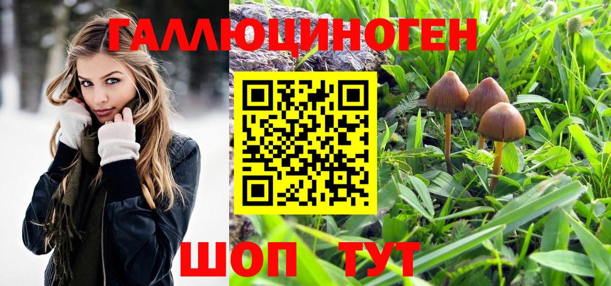 Каннабис  Вход с VPN  МЕФ   НБОМе  ГАШИШ  МЕФ  Киров  COCAIN 